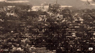 Comment garder vos vins à température idéale sans utiliser une cave?